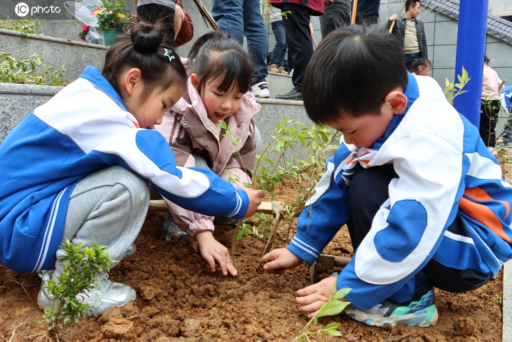 四川通江：校园植树添新绿