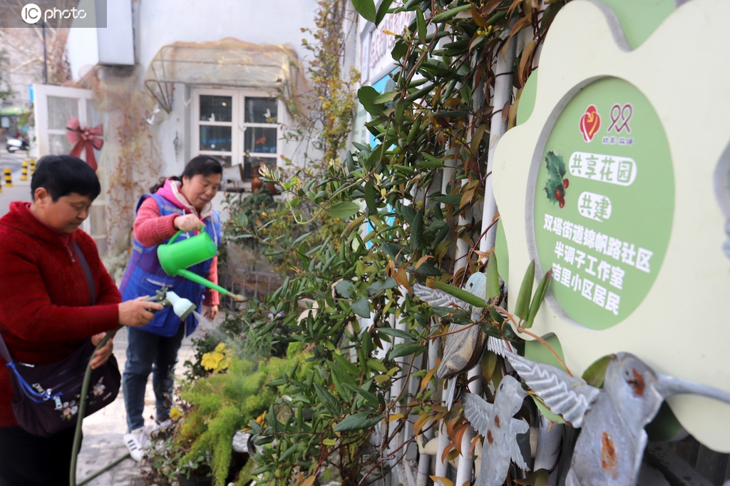 江苏苏州：打造“共享花园” 美化小区环境