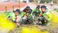 江苏兴化：植树迎春