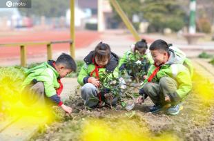 江苏兴化：植树迎春