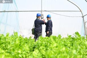 河南鄢陵：保电到田间 护航春耕用电安全