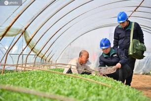 河南鄢陵：保电到田间 护航春耕用电安全