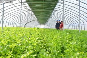 河南鄢陵：保电到田间 护航春耕用电安全