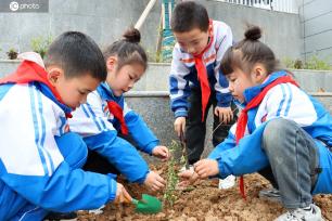 四川通江：校园植树添新绿