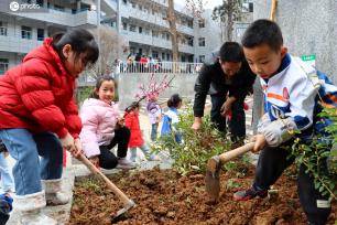 四川通江：校园植树添新绿