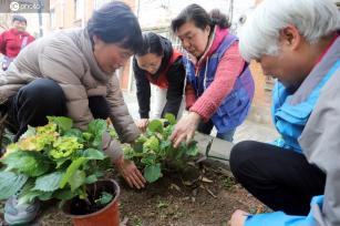 江苏苏州：打造“共享花园” 美化小区环境