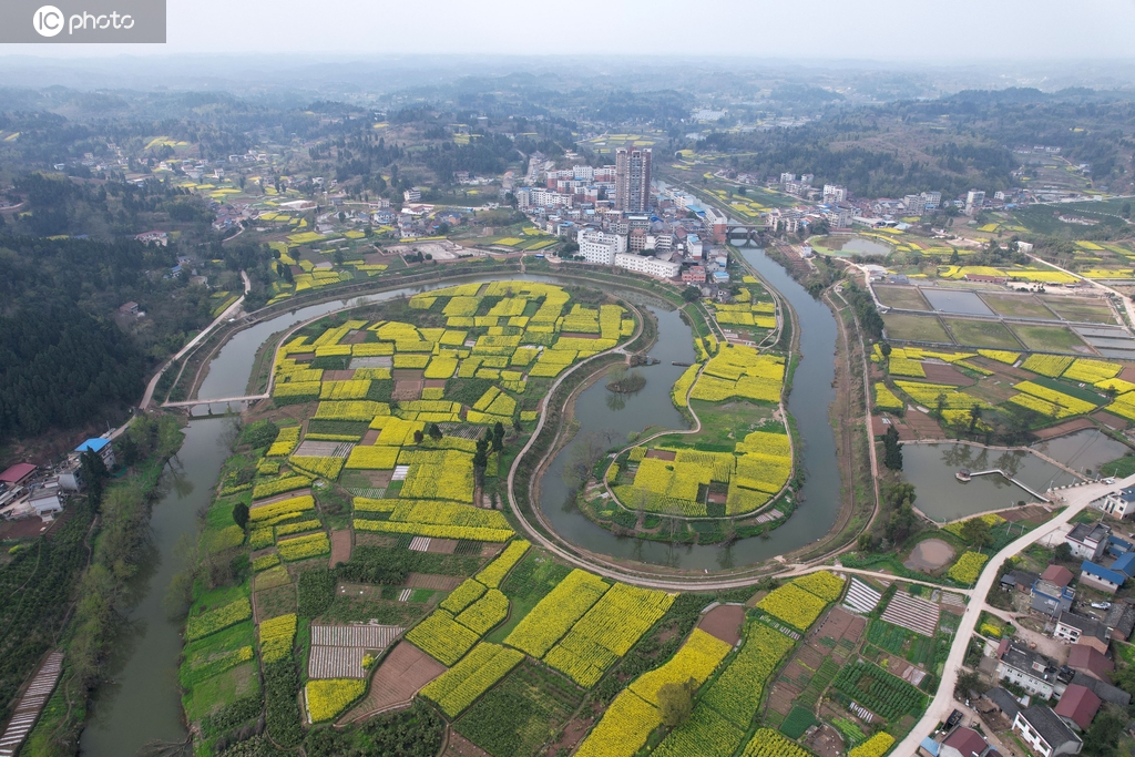 四川内江：油菜花开乡村美