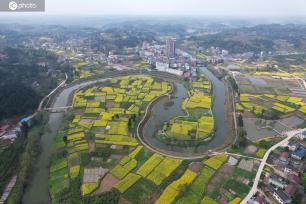 四川内江：油菜花开乡村美