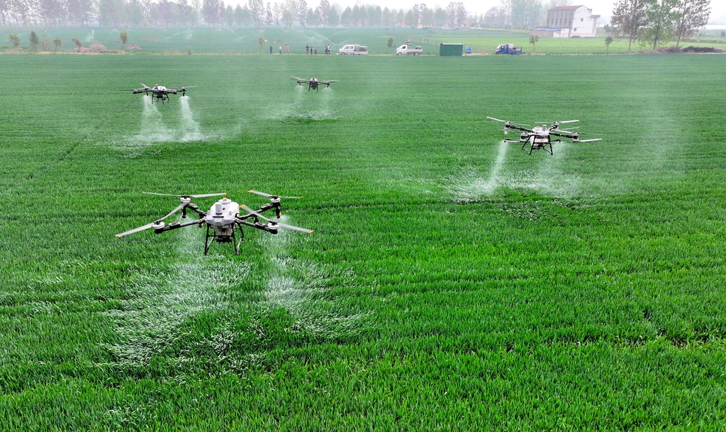 安徽亳州：农民使用无人机进行田管作业