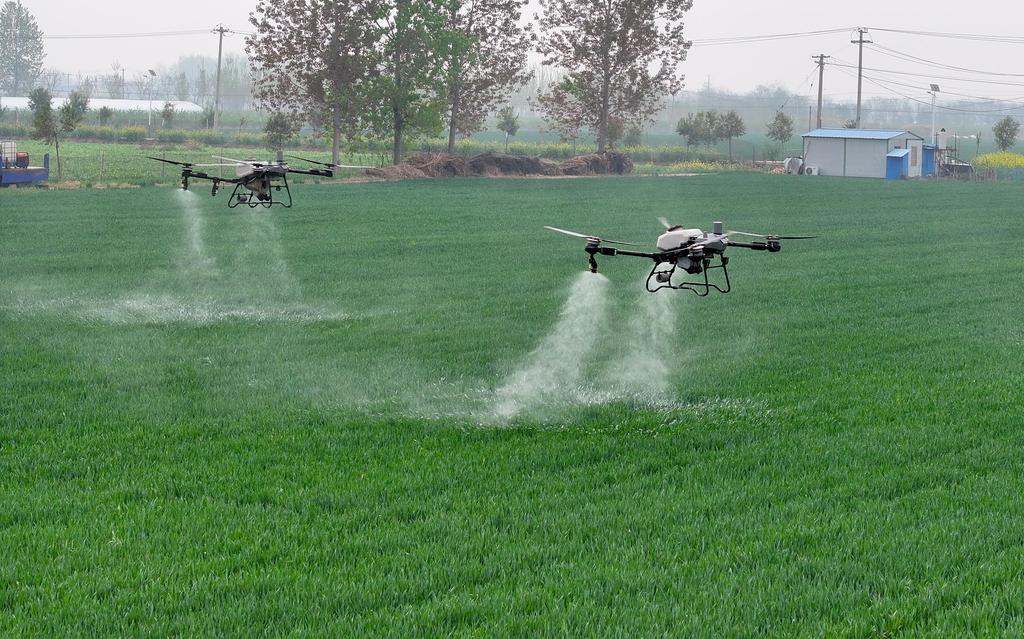 安徽亳州：农民使用无人机进行田管作业