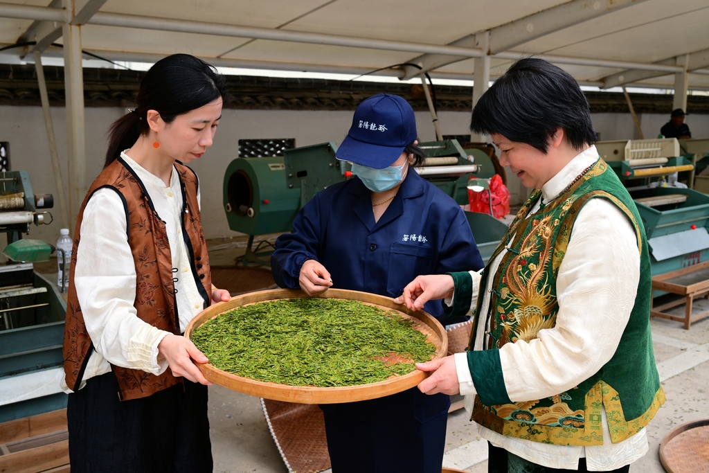 浙江金华：机械炒茶能手赛技艺