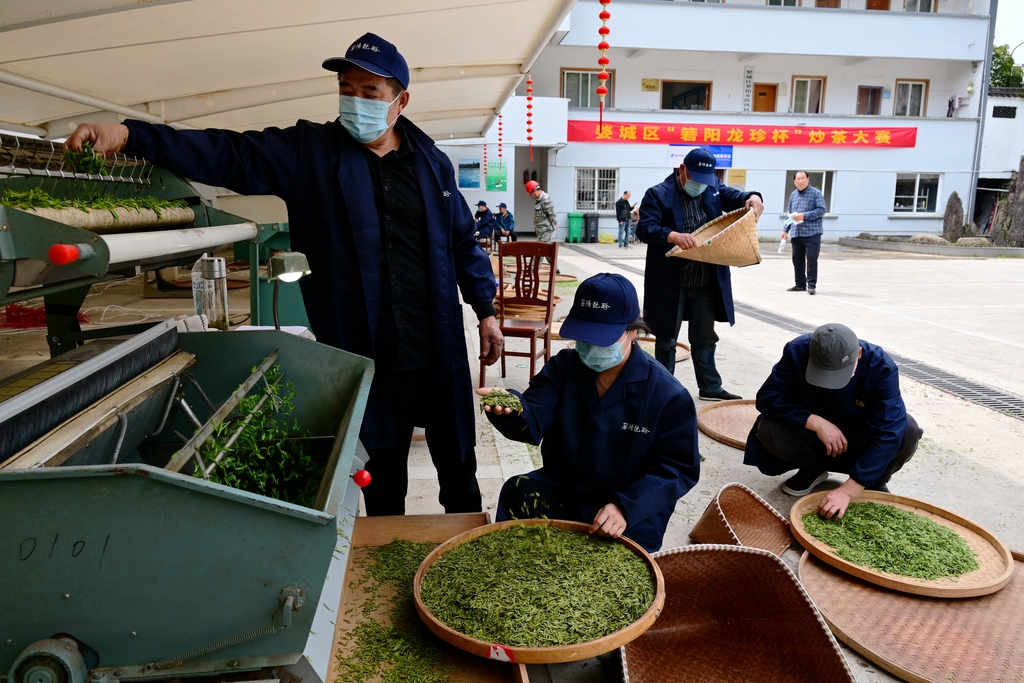 浙江金华：机械炒茶能手赛技艺