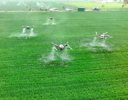 安徽亳州：农民使用无人机进行田管作业