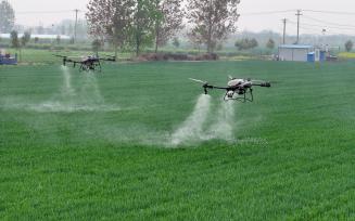 安徽亳州：农民使用无人机进行田管作业