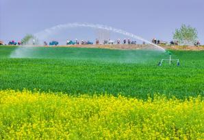 江苏宿迁：种植大户为小麦喷灌