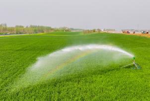 江苏宿迁：种植大户为小麦喷灌
