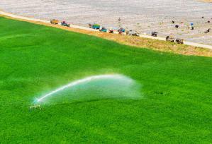 江苏宿迁：种植大户为小麦喷灌