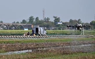 四川隆昌：飞手操控植保无人机喷施除草剂