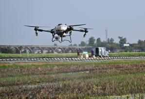 四川隆昌：飞手操控植保无人机喷施除草剂