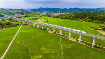 广西梧州：动车组疾驰而过