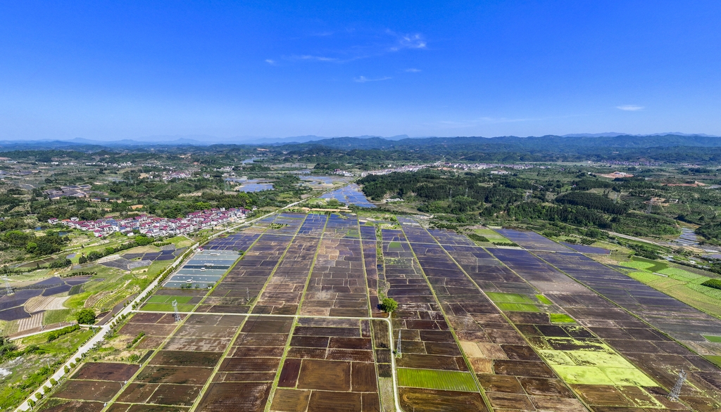江西抚州：高标准农田美如画卷