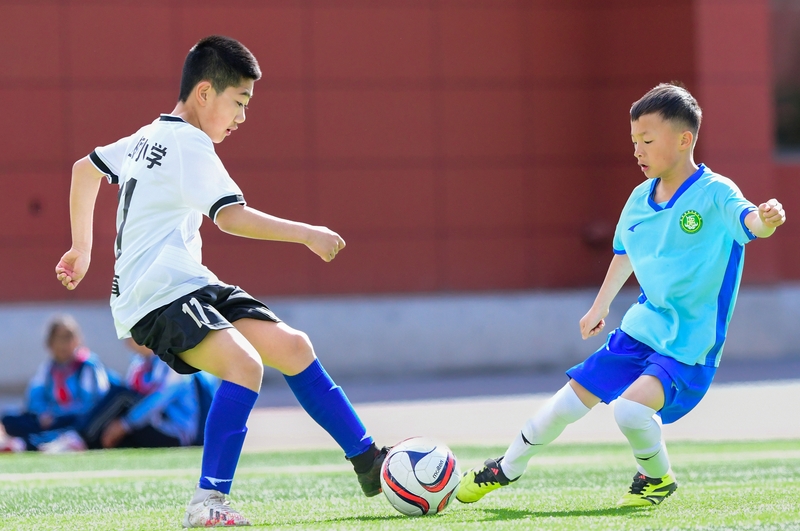 内蒙古呼和浩特：足球小将逐鹿绿茵