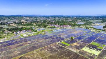 江西抚州：高标准农田美如画卷