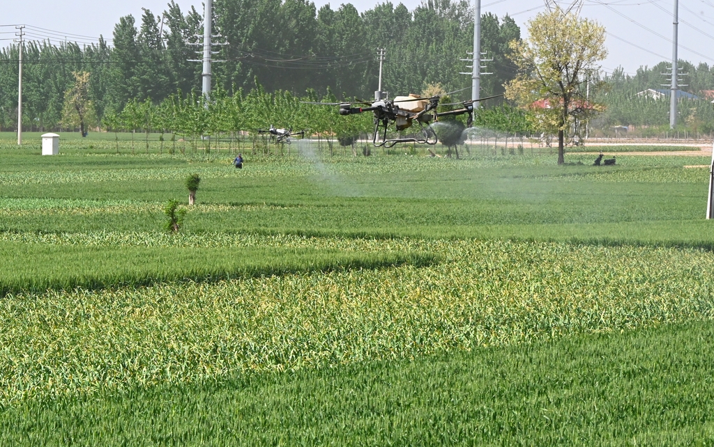 河南开封：“一喷三防”助小麦丰收