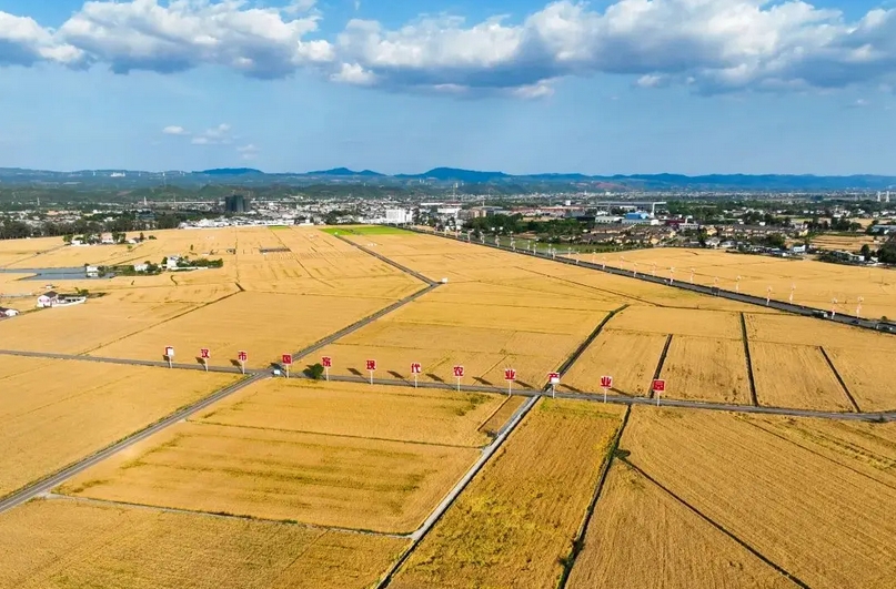 一季度我国农业农村经济实现稳健开局