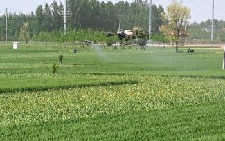 河南开封：“一喷三防”助小麦丰收