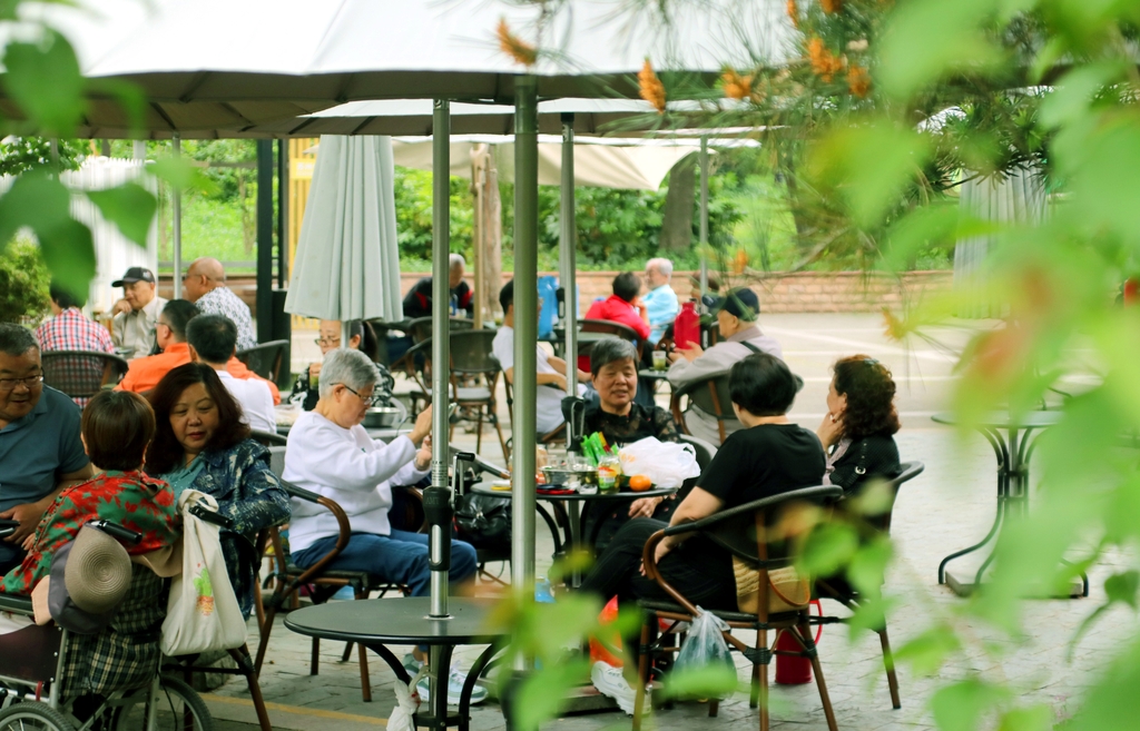 江苏苏州：露天茶室受青睐