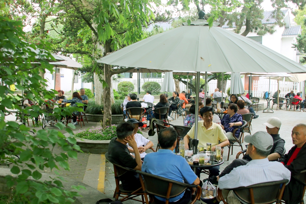 江苏苏州：露天茶室受青睐