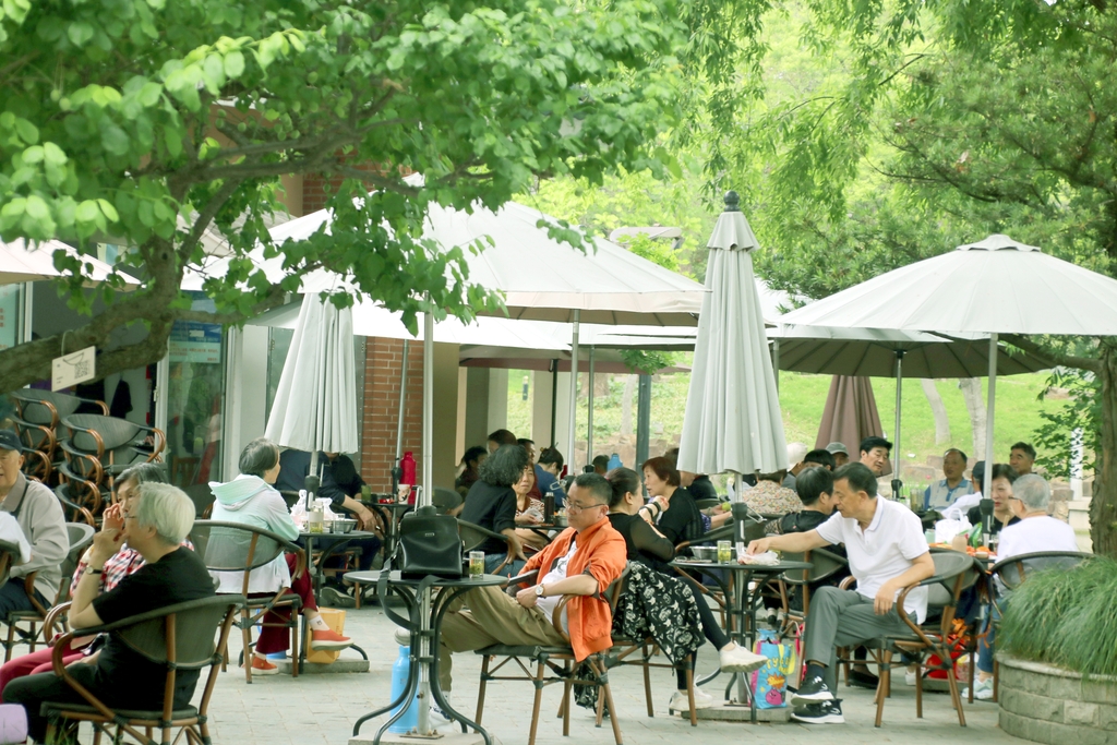 江苏苏州：露天茶室受青睐