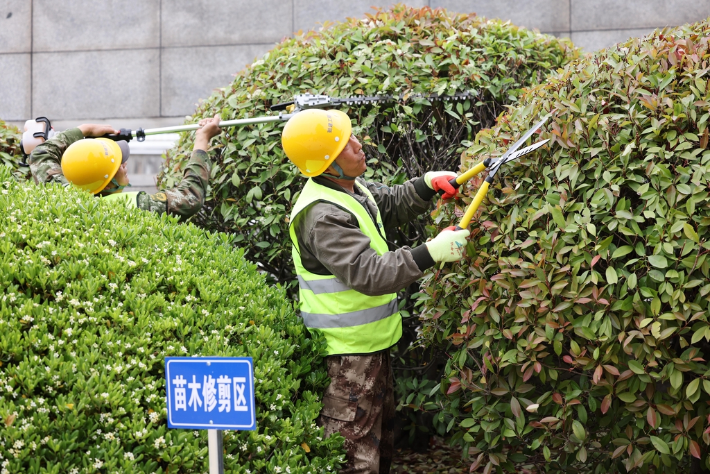 江苏连云港：建筑园艺工匠技能比武