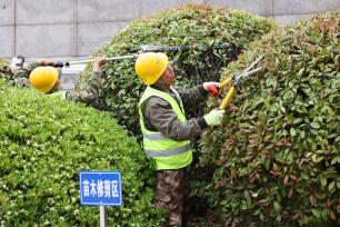 江苏连云港：建筑园艺工匠技能比武