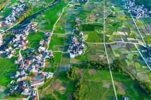 广西蒙山：春日田园景美如画