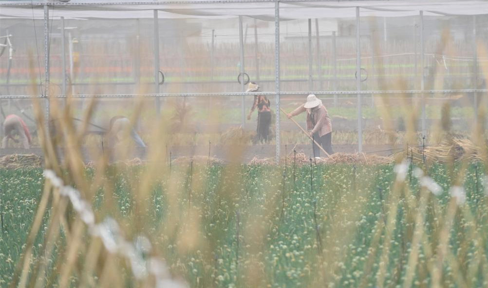 “劳动最光荣、劳动最崇高、劳动最伟大、劳动最美丽”