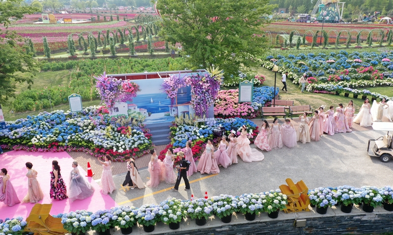 江苏盐城：老年时装走秀花海