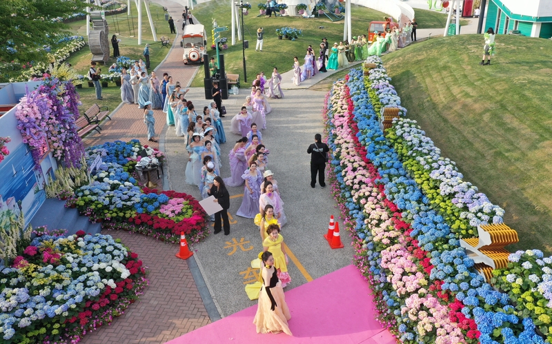 江苏盐城：老年时装走秀花海