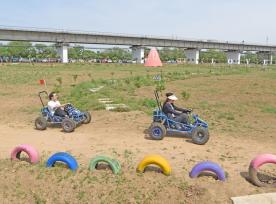 安徽淮南：乡村旅游引客来