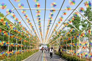 安徽淮南：乡村旅游引客来