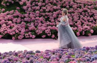 江苏盐城：老年时装走秀花海