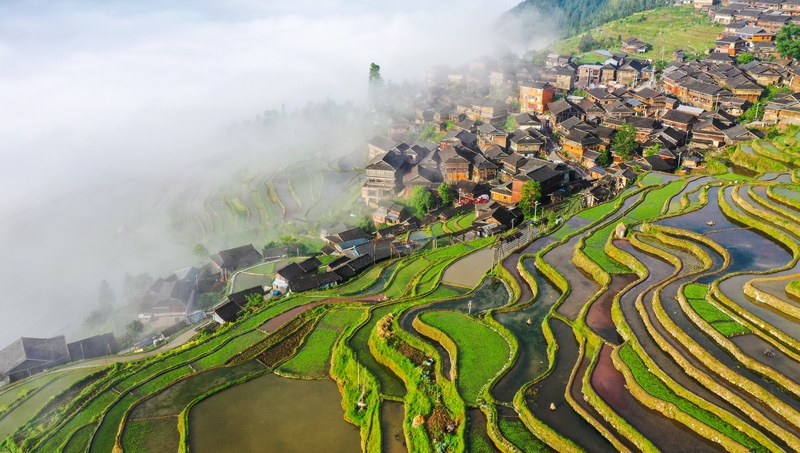 贵州从江：暮春梯田 水墨画卷