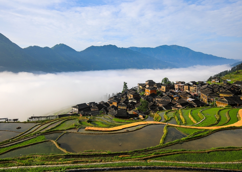 贵州从江：暮春梯田 水墨画卷