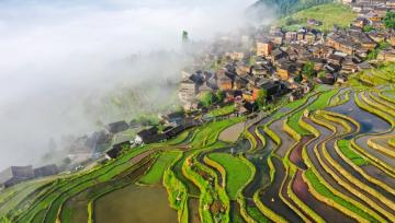 贵州从江：暮春梯田 水墨画卷