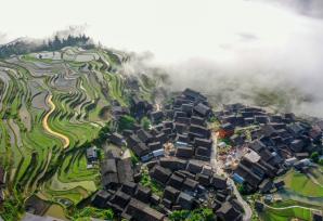 贵州从江：暮春梯田 水墨画卷