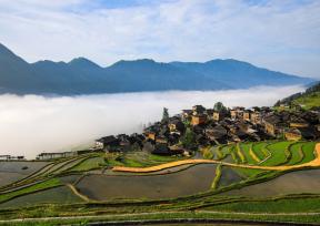 贵州从江：暮春梯田 水墨画卷