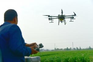 山东枣庄：覆膜土豆田管忙