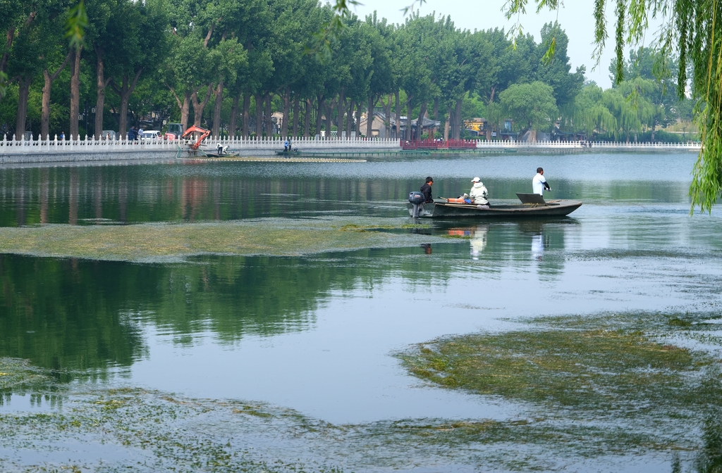 北京：清理水草保水质