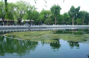 北京：清理水草保水质